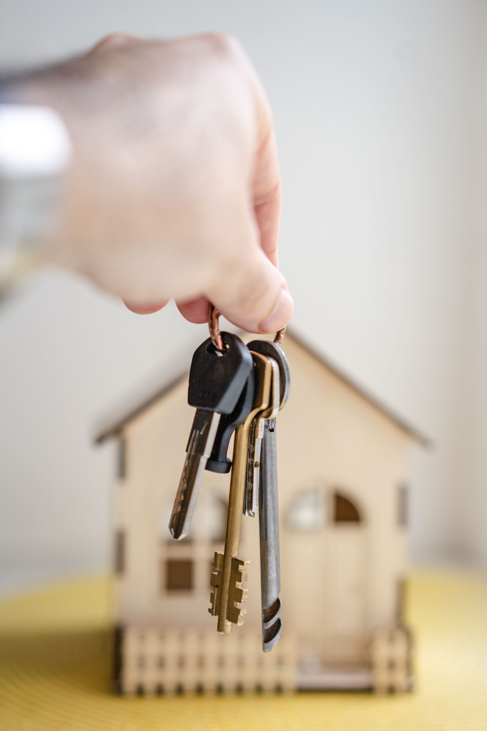 Іпотечні спори: як ефективно оскаржити звернення стягнення на предмет іпотеки